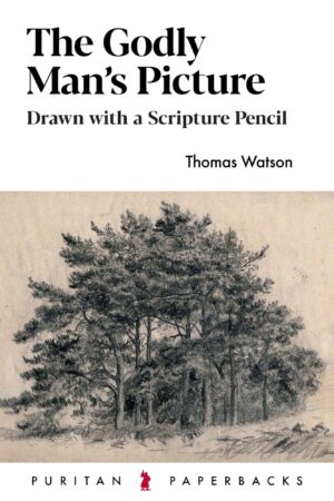 The Godly Man's Picture