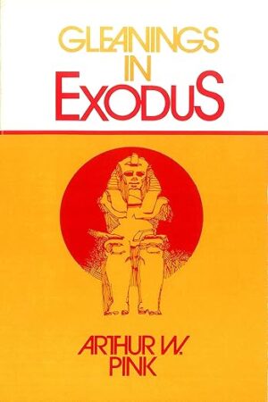 Gleanings in Exodus