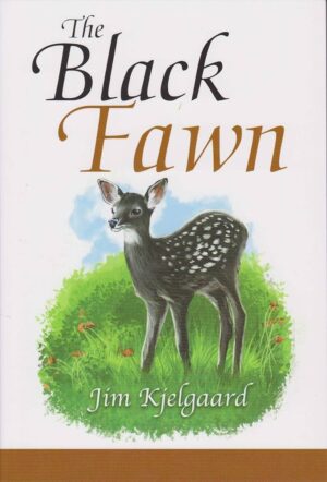 The Black Fawn